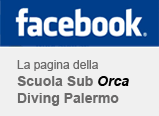 Corsi Sub Scuola Sub Orca Milano Brianza