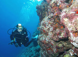 ustica